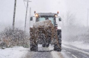 Salting the roads