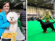 Crufts Donna Dunne