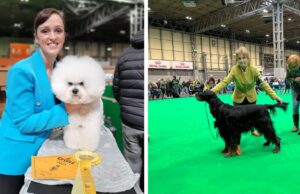 Crufts Donna Dunne