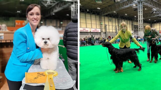 Crufts Donna Dunne