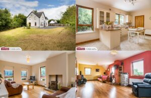 Clonsast Lower property for sale with Tom McDonald Auctioneers