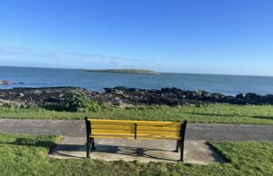 Irish Cancer Society Daffodil Bench