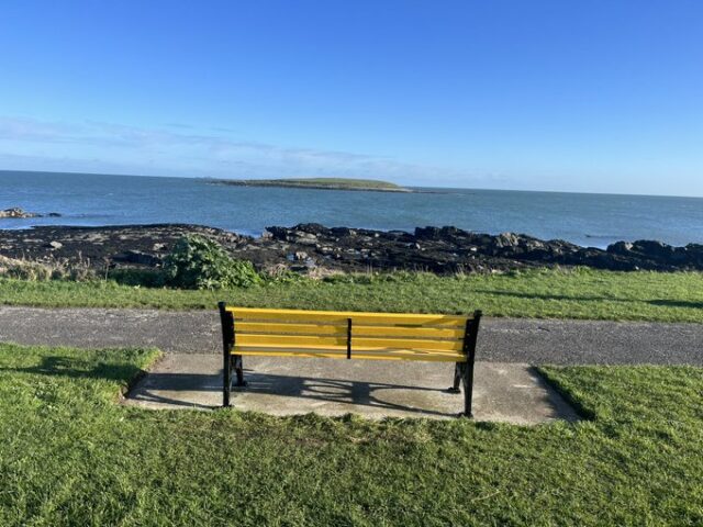 Irish Cancer Society Daffodil Bench