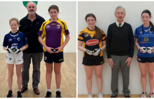 Laois handball (8)