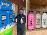 Micheal Finlay Moo Cow Milk