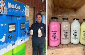 Micheal Finlay Moo Cow Milk