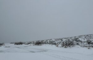 R440 between Mountrath and Kinnitty