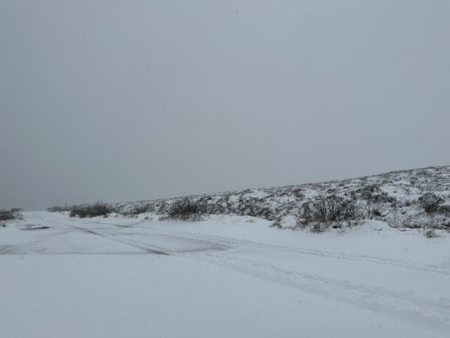 R440 between Mountrath and Kinnitty