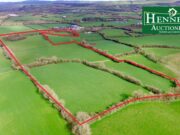 Ballinakill land sells at online auction