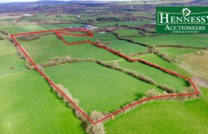 Ballinakill land sells at online auction