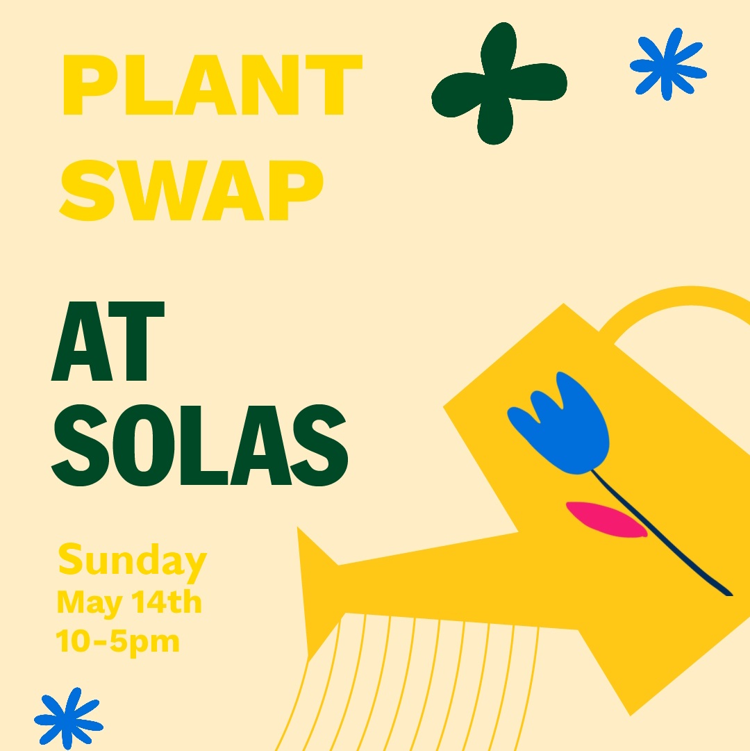 Plant swap at Solas Eco Garden Centre Portarlington