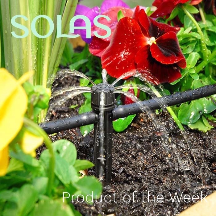 Product of the week at Solas Eco Garden Centre