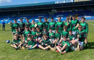 Ballyfin Cumann na mBunscol