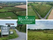 Pike of rushall lands for sale with Hennessy Auctioneers