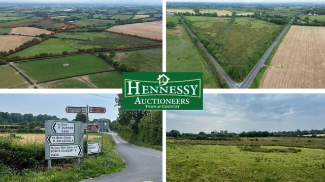 Pike of rushall lands for sale with Hennessy Auctioneers
