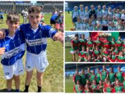 Cumann na mBunscol hurling 2023