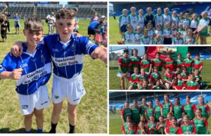 Cumann na mBunscol hurling 2023