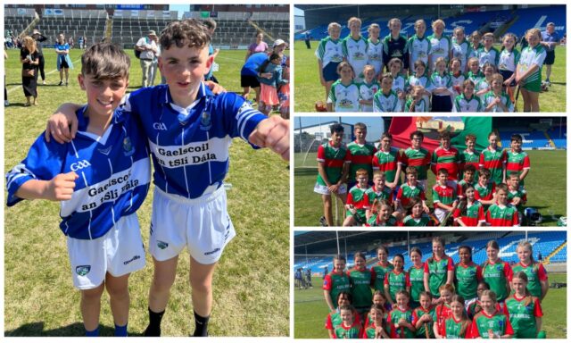 Cumann na mBunscol hurling 2023