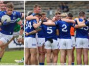 Mark Timmons Laois new