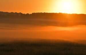 Summer Solstice