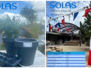 Solas Eco Garden Centre French Festival