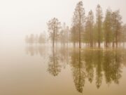 Silence