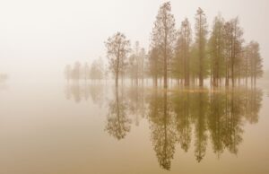 Silence