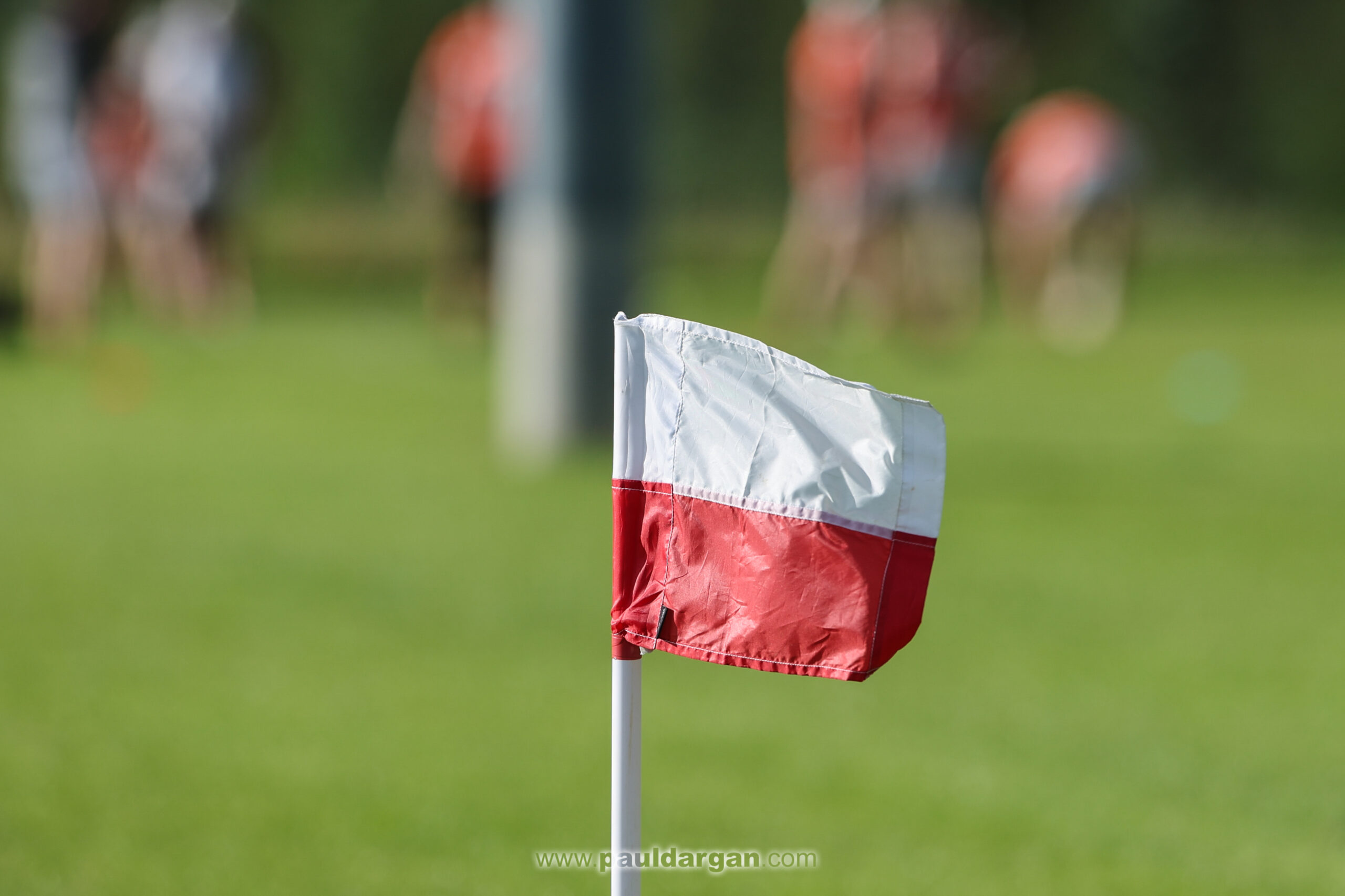 Club by club: How the Laois football clubs have graded their players for 2024