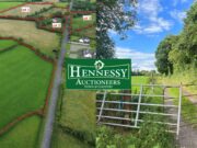 Hennessy Auctioneers auction report