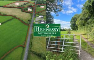 Hennessy Auctioneers auction report