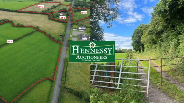 Hennessy Auctioneers auction report