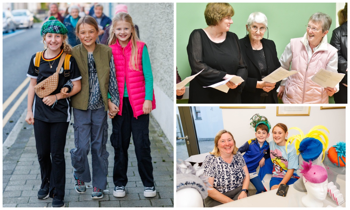 In Pictures: Culture night in Portarlington, Mountmellick and Borris-In-Ossory a big success
