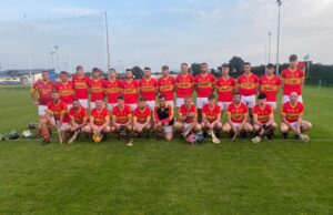 The Harps Junior B hurling 2023