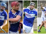 Laois Shinty