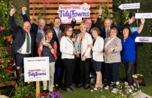 Abbeyleix Tidy Towns