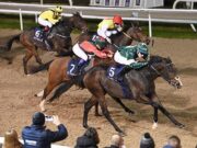 Fleetfootsoldier Dundalk Races The Square Bar Syndicate