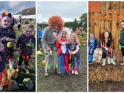 Laois Pumpkin Patch Main 2023