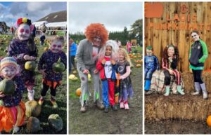 Laois Pumpkin Patch Main 2023