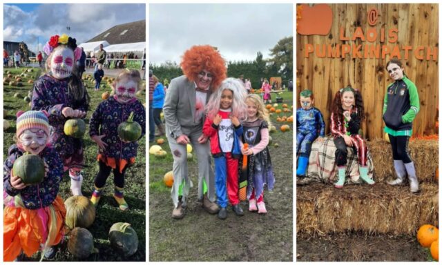 Laois Pumpkin Patch Main 2023