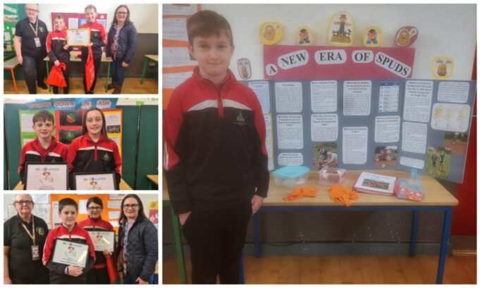 Timahoe NS Intel Mini Scientist 2023