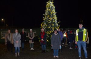 Crettyard Ladies Remembrance Tree (3)