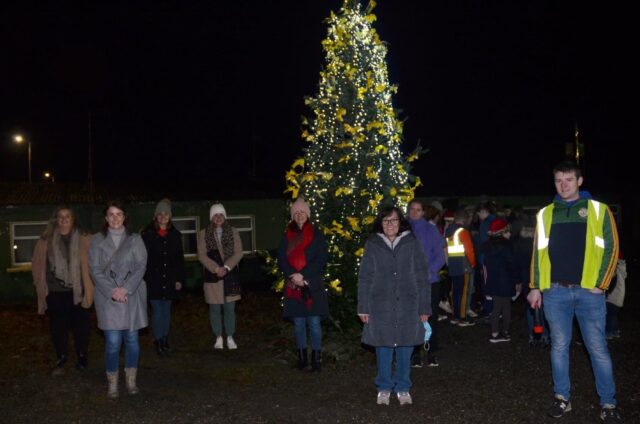 Crettyard Ladies Remembrance Tree (3)