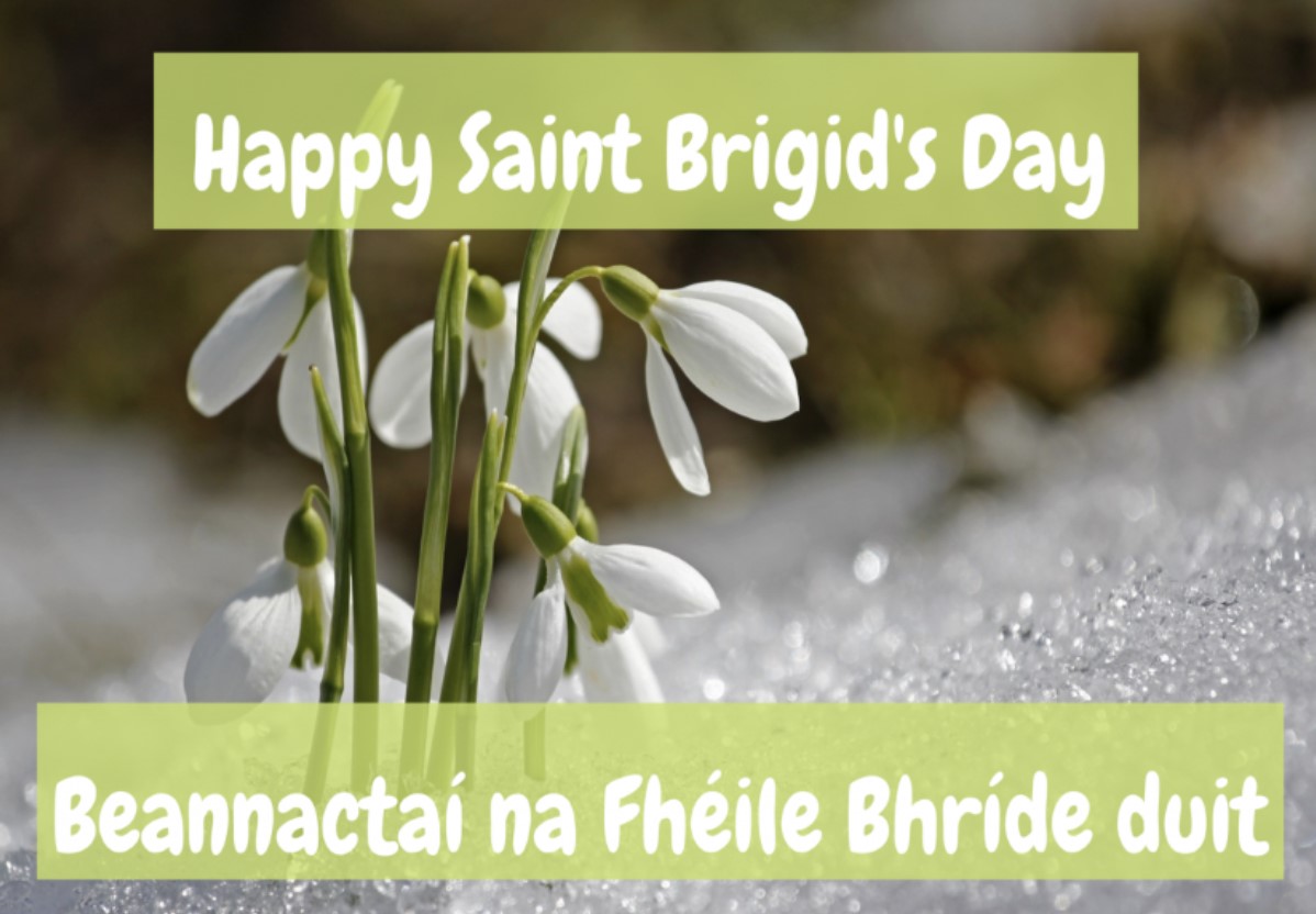 Fr Paddy Anniversary of St Brigid's Day Laois Today
