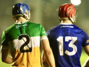 Laois Offaly Walsh Cup