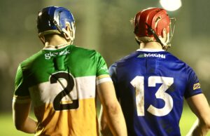 Laois Offaly Walsh Cup