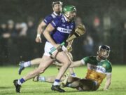 Laois Senior Hurlers