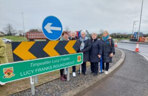 Lucy Franks Roundabout at Fairgreen on the N80 Portlaoise (2)