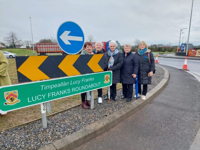 Lucy Franks Roundabout at Fairgreen on the N80 Portlaoise (2)