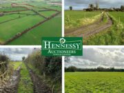 42 acres and old house for sale at Derryguile, Mountmellick with Hennessy Auctioneers