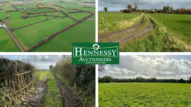 42 acres and old house for sale at Derryguile, Mountmellick with Hennessy Auctioneers